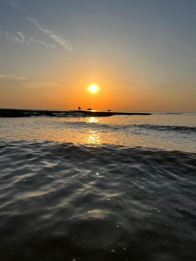 Bungalow De Strandjutter 8 Persons Middelkerke Exteriér fotografie