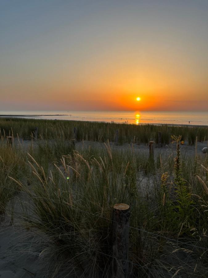 Bungalow De Strandjutter 8 Persons Middelkerke Exteriér fotografie
